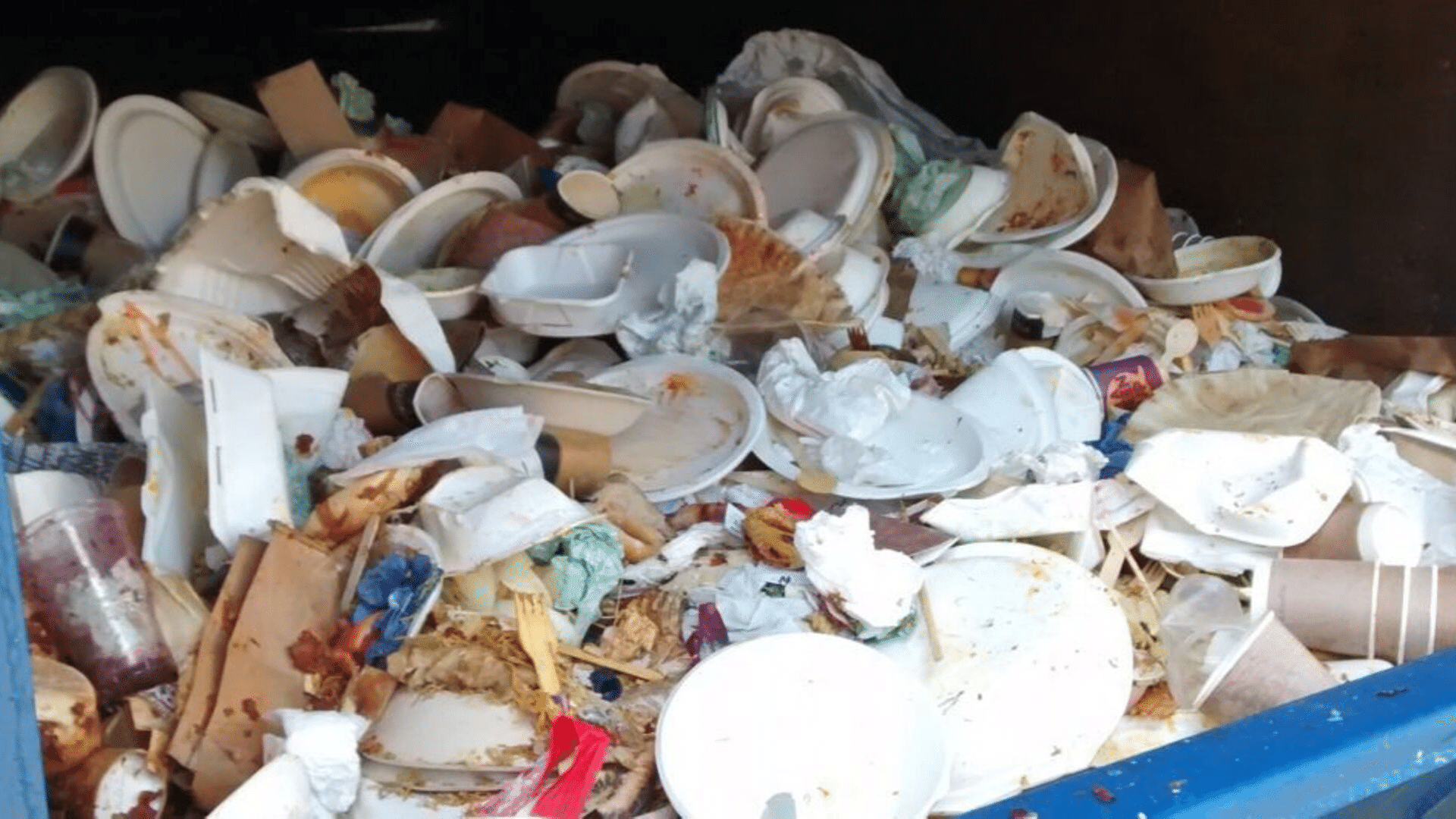 Press Release: most bioplastics are “a load of rubbish”