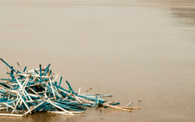 Retailers switch the stick to stop source of plastic pollution