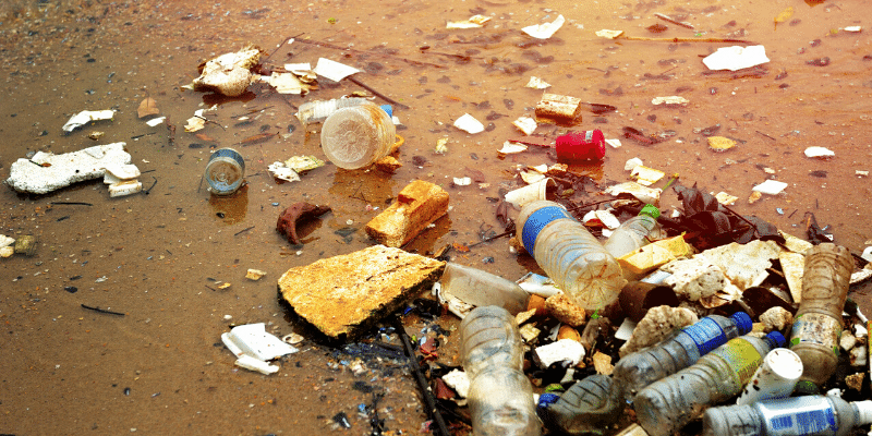 blog images single use plastic pollution litter beach plastic pollution on a beach