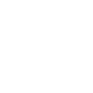 City to Sea campaign logo