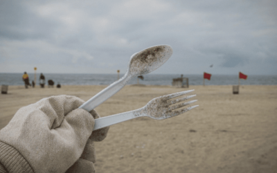Cut the Cutlery Consultation now open