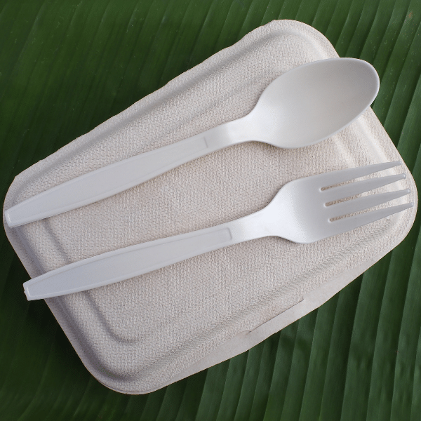 Takeaway bioplastic box