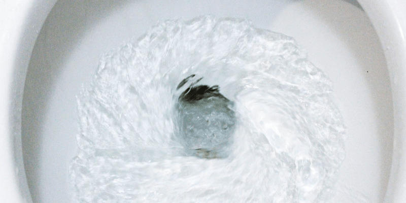 Toilet 2