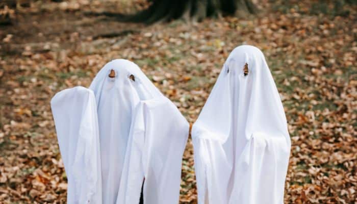 Halloween Costumes