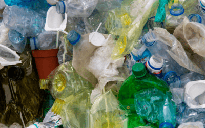 SINGLE-USE PLASTIC BAN FINALLY COMES INTO FORCE