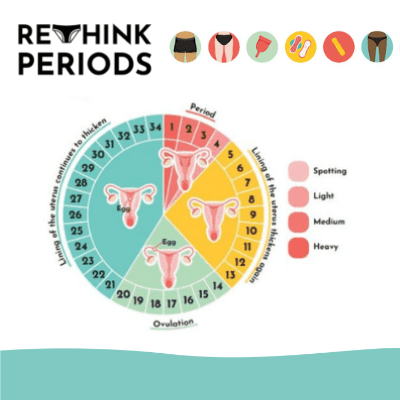 Rethink Periods Lesson preview Rethink Periods lesson plan people