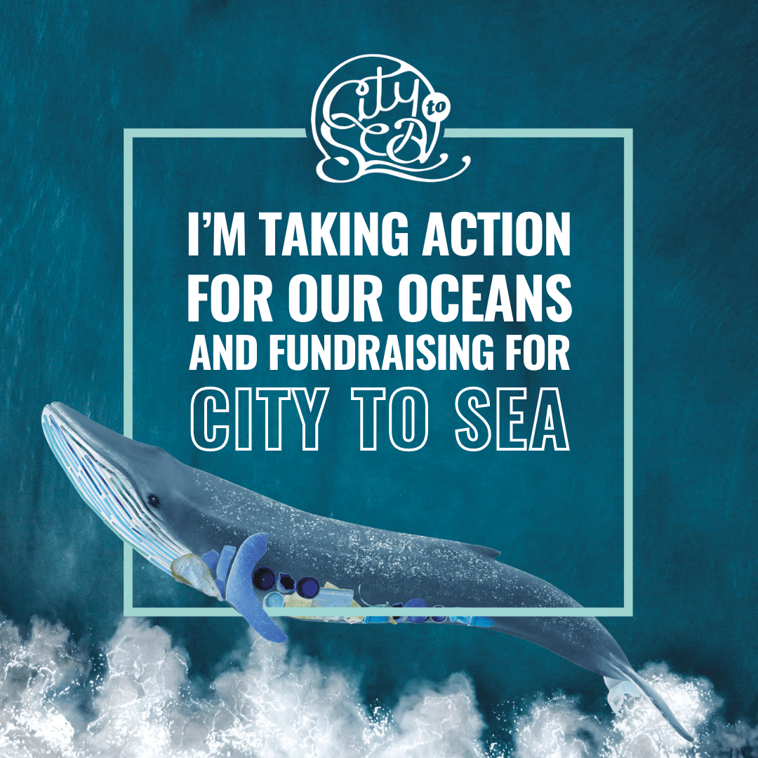 CTS Fundraising - Taking action badge blue